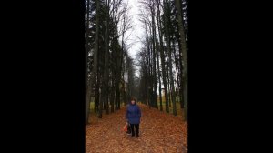 Усадьба Волконских, В Суханово-2016!