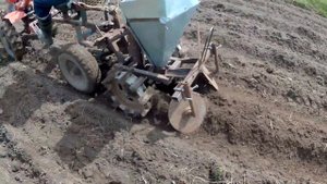 Посадка картофеля самодельной картофелесажалкой на адаптере мотоблоком Nikkey MK1550