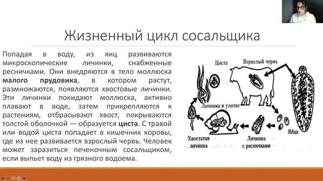 ТИП ПЛОСКИЕ ЧЕРВИ ЗА 15 МИНУТ| КЛАСС СОСАЛЬЩИКИ |КЛАСС РЕСНИЧНЫЕ |КЛАСС ЛЕНТОЧНЫЕ |ЕГЭ, ЦТ,ЗНО смотреть онлайн