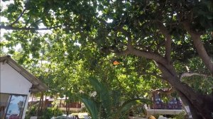 Остров ЛАНТА (Koh Lanta) - ТАЙЛАНД