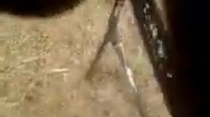 Станок для распила дров.