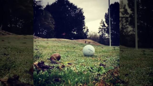 Practice with Escargot смотреть онлайн