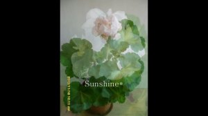 Pelargonium Butterfly Lorely 1  ( 2012)