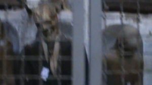 МУЗЕЙ МЕРТВЕЦОВ в Палермо. Катакомбы капуцинов. САМЫЕ СТРАШНЫЕ МУЗЕИ МИРА