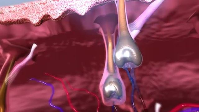 Laser Hair Removal, HR is one of two modes from Alma Lasers. See also SHR. смотреть онлайн