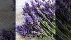 Что можно добавить в травник для ведьм или травниц  Witch