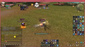 PvP PW сик vs танк,шам