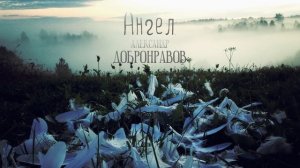 Александр Добронравов - Ангел [Аудио]