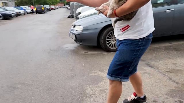 We Rescued a Playful Puppy смотреть онлайн