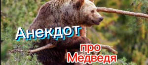 Анекдот про Медведя???