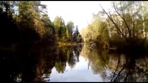 Лодочный мотор - болотоход SPS