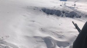 Тест на всеядность мр 133