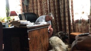 Кавказская овчарка Кузьма Вычесать кавказскую овчарку не легко #Кавказскаяовчарка #Кузьма