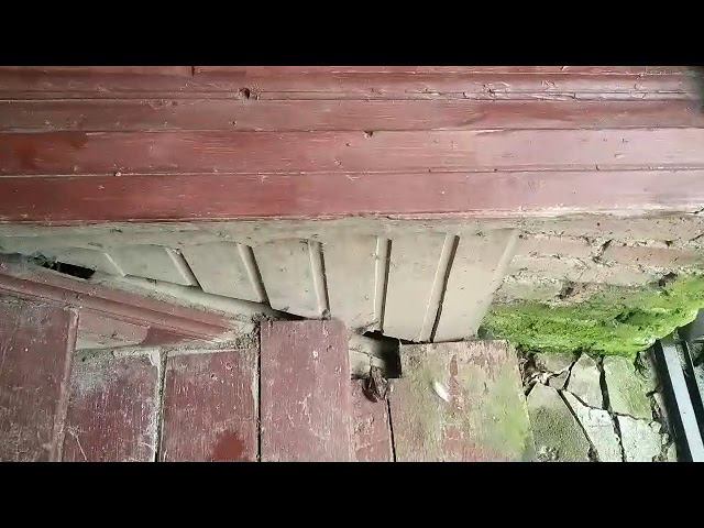 2 сентября 2023 г. смотреть онлайн