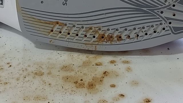 ?LIMPIEZA FÁCIL DE LA PLANCHA POR DENTRO Y POR FUERA?LOS MEJORES TRUCOS✅// BEATRIZ COCINA смотреть онлайн