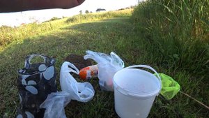 Рыбалка на поплавок на озёрах и прудах! Линь, окунь, плотва, краснопёрка, щука!