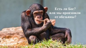 Личное свидетельство - Павел Лузик..