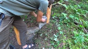 Построил домик из камня в горах.Жарю стейки на камне.