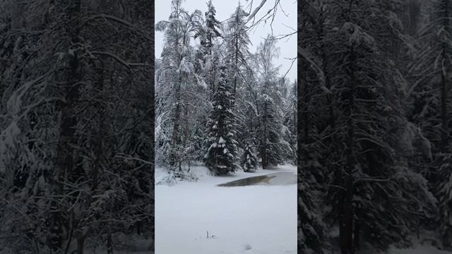 Зимняя сказка в Линдуловской роще