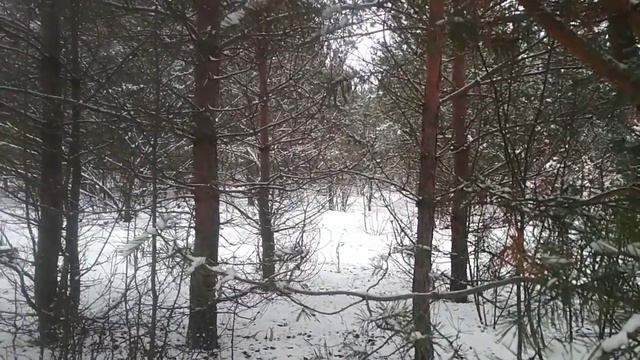 30 декабря Приснись мне сегодня, пожалуйста Римма Казакова смотреть онлайн