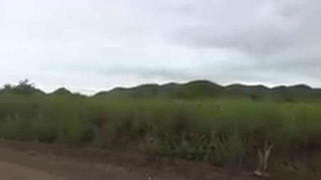 На "Буханке" вокруг света. Часть 2. Африка смотреть онлайн