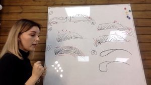 5. Типы и формы бровей. Открытый курс "Бровист с 0" от Кати Грибовой.