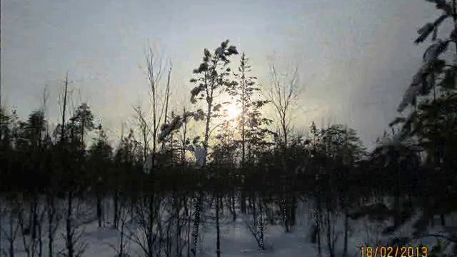 Прогулка по киземскому лесу и внук смотреть онлайн