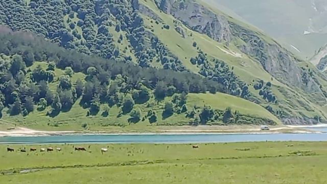 Красоты Северного Кавказа.Чеченская республика Нохчий-Мохк