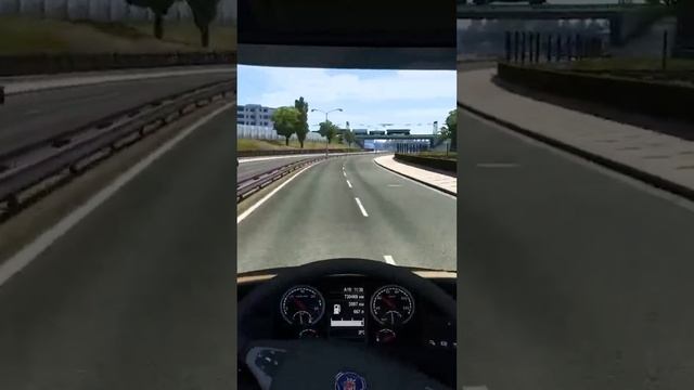 Безумная дорога дураков в TruckersMP ETS2 #shorts