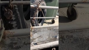 Пескоструй катера «Ярославец»