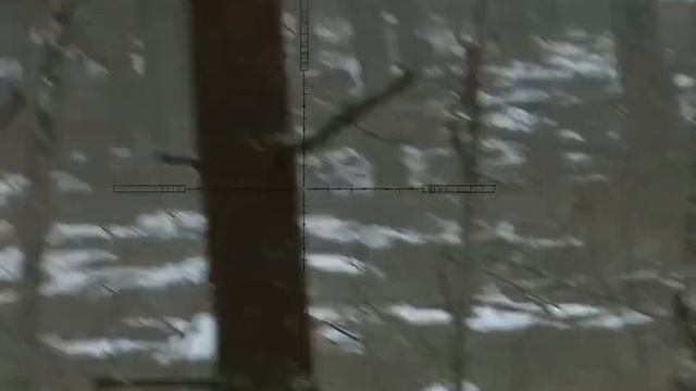 охота на лося 2023. солонец. pulsar digex c50 смотреть онлайн