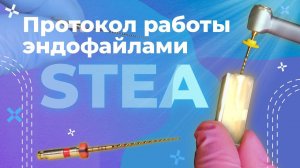 Протокол работы эндофайлами STEA | TC-Files