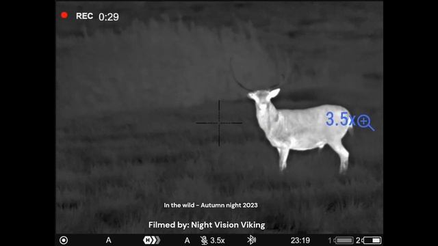 HD Thermal - Pulsar Thermion 2 LRF XL50 - 1024x768 pixels смотреть онлайн