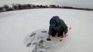 HELP ME! The Frustration of Ice Fishing with Tip Ups