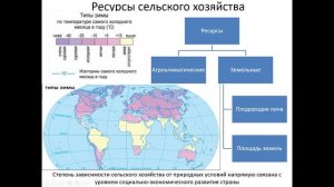 Мировое сельское хозяйство. География 10-11 класс