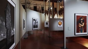 The Red Eye (François Cheval & Audrey Hoareau) : The Curator of "Wild" by Albert Watson