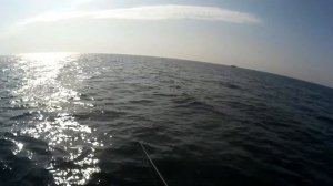 Спиннинг на Черном море. Ловля бычка на Днестровской банке