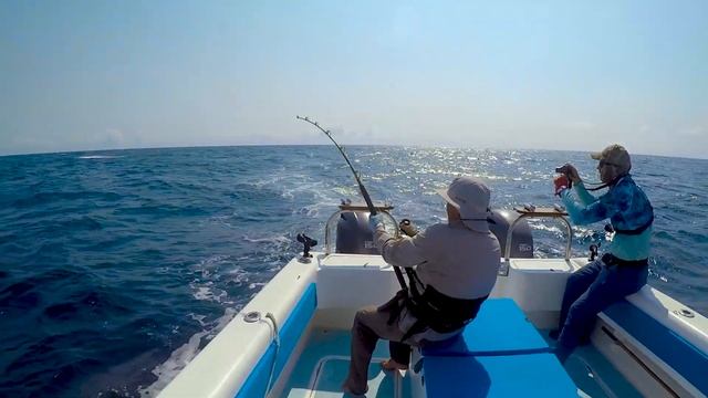 Морская рыбалка: ОГРОМНЫЙ марлин сожрал нашего живца! смотреть онлайн