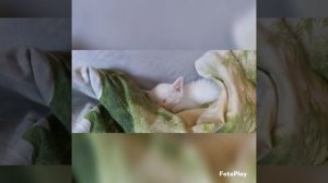 fotoPlay_20220925193014.mp4