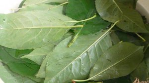 Домашний вишневый ликёр без вишни