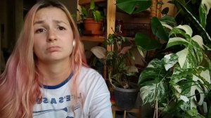 Моё мнение о флорариумах из суккулентов :)