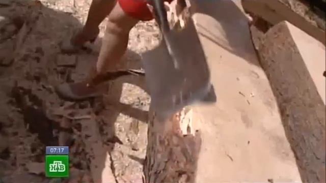 Лафет - что это такое? Дом из лафета. смотреть онлайн