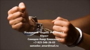 Уголовный кодекс РФ Глава 2 ДЕЙСТВИЕ УГОЛОВНОГО ЗАКОНА ВО ВРЕМЕНИ И В ПРОСТРАНСТВЕ