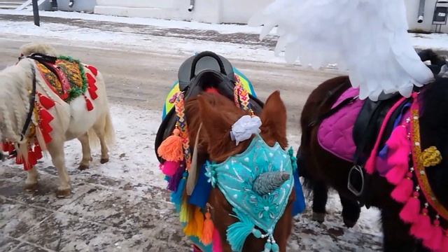 Где живут ЕДИНОРОГИ? Конечно в России ;) В городе Суздаль Владимирской области.