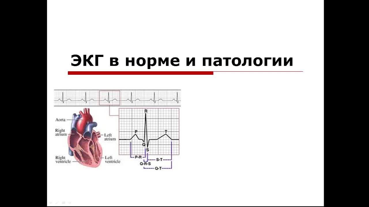 Внутренние болезни.