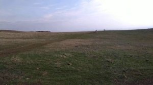 Levan & Nikoloz - KEWS 450 15.11.2020 5 V 20201115 155624