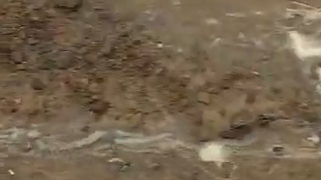 Наш маленький рай