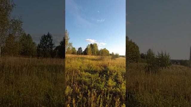 Участок 11 соток в ДПК Княжеская слобода, около с. Старая Слобода, вблизи гор. Александров