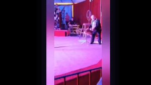 Уральский цирк (1 отделение)