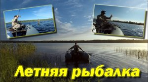 Летняя рыбалка. Троллинг и Резинка